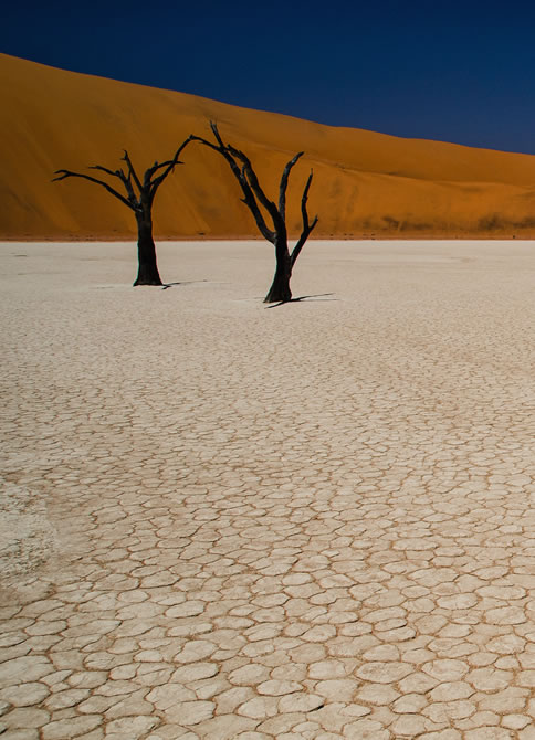 Giornata mondiale contro desertificazione e siccità