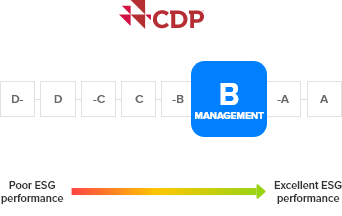 Diagramma cdp